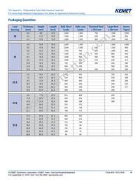 R745F1220AA00J Datasheet Page 18