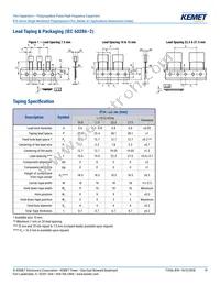 R745F1220AA00J Datasheet Page 19