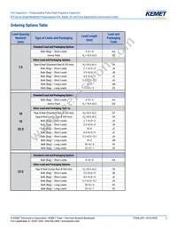 R75IN41804040J Datasheet Page 2