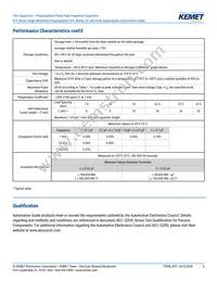 R75IN41804040J Datasheet Page 6