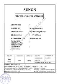 RA001-001999DN Datasheet Cover