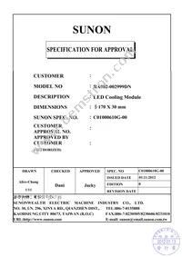 RA002-002999DN Datasheet Cover