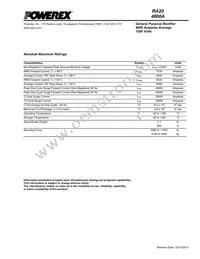 RA201248XX Datasheet Page 2