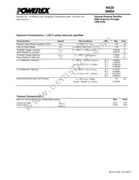 RA201248XX Datasheet Page 3