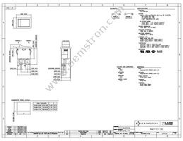 RA811C1100 Datasheet Cover