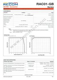 RAC01-3.3SGB Datasheet Page 4