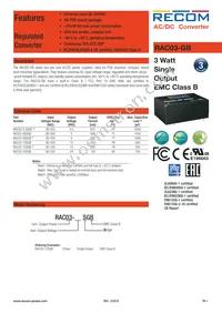RAC03-15SGB Datasheet Cover