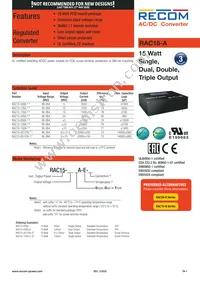 RAC15-0515TA-E-ST Datasheet Cover