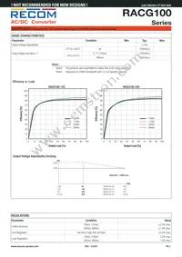 RACG100-48S Datasheet Page 2