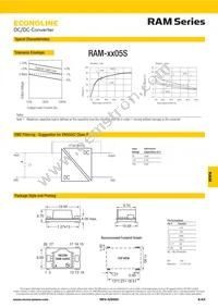RAM-2405S/H Datasheet Page 2