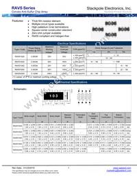 RAVS164DJT3K30 Datasheet Cover