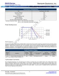 RAVS164DJT3K30 Datasheet Page 2