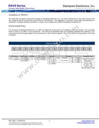 RAVS164DJT3K30 Datasheet Page 3