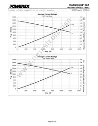 RAXMGC0412XX Datasheet Page 5