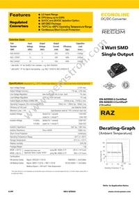 RAZ-2405S/H Datasheet Cover