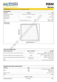 RBM-1215D/P Datasheet Page 5