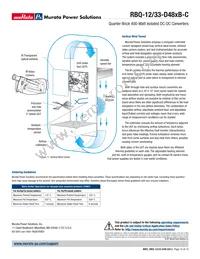 RBQ-12/33-D48NBS-C Datasheet Page 15