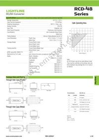 RCD-48-1.00/W Datasheet Page 2