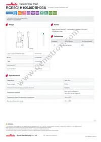 RCE5C1H100J0DBH03A Datasheet Cover