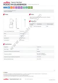 RCE5C1H122J0DBH03A Datasheet Cover