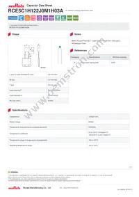 RCE5C1H122J0M1H03A Datasheet Cover