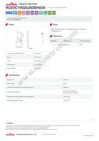 RCE5C1H220J0DBH03A Datasheet Cover