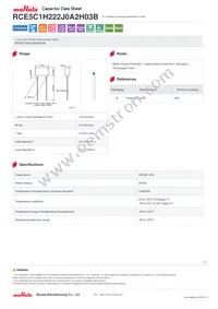 RCE5C1H222J0A2H03B Datasheet Cover