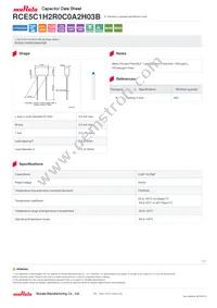 RCE5C1H2R0C0A2H03B Datasheet Cover