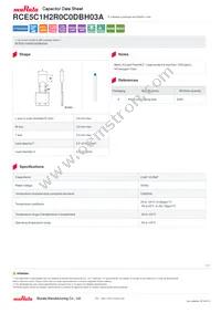 RCE5C1H2R0C0DBH03A Datasheet Cover