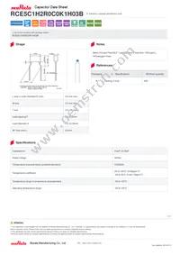 RCE5C1H2R0C0K1H03B Datasheet Cover