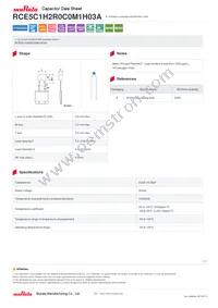 RCE5C1H2R0C0M1H03A Datasheet Cover