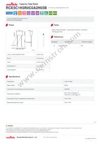 RCE5C1H3R0C0A2H03B Datasheet Cover