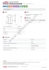 RCE5C1H560J0A2H03B Datasheet Cover