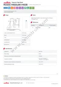 RCE5C1H820J0K1H03B Datasheet Cover