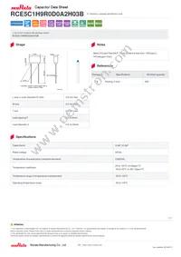 RCE5C1H9R0D0A2H03B Datasheet Cover