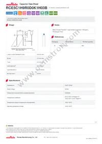 RCE5C1H9R0D0K1H03B Datasheet Cover