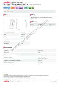 RCE5C1H9R0D0M1H03A Datasheet Cover