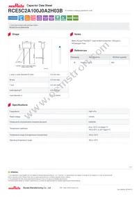 RCE5C2A100J0A2H03B Datasheet Cover