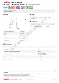 RCE5C2A100J0DBH03A Datasheet Cover