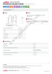 RCE5C2A100J0K1H03B Datasheet Cover