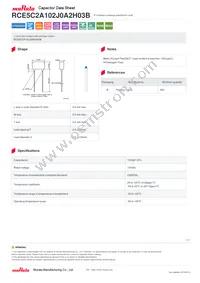 RCE5C2A102J0A2H03B Datasheet Cover