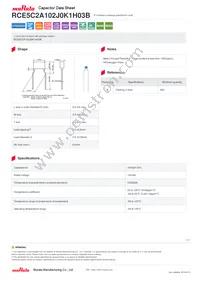 RCE5C2A102J0K1H03B Datasheet Cover