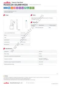 RCE5C2A120J0M1H03A Datasheet Cover