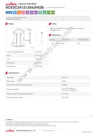 RCE5C2A121J0A2H03B Datasheet Cover