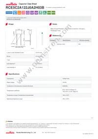 RCE5C2A122J0A2H03B Datasheet Cover