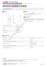 RCE5C2A1R0C0DBH03A Datasheet Cover