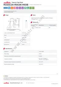 RCE5C2A1R0C0K1H03B Datasheet Cover