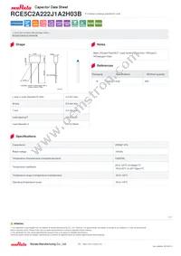 RCE5C2A222J1A2H03B Datasheet Cover