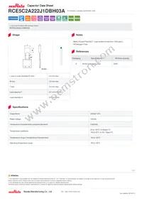 RCE5C2A222J1DBH03A Datasheet Cover