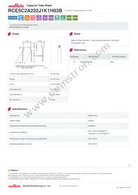 RCE5C2A222J1K1H03B Datasheet Cover